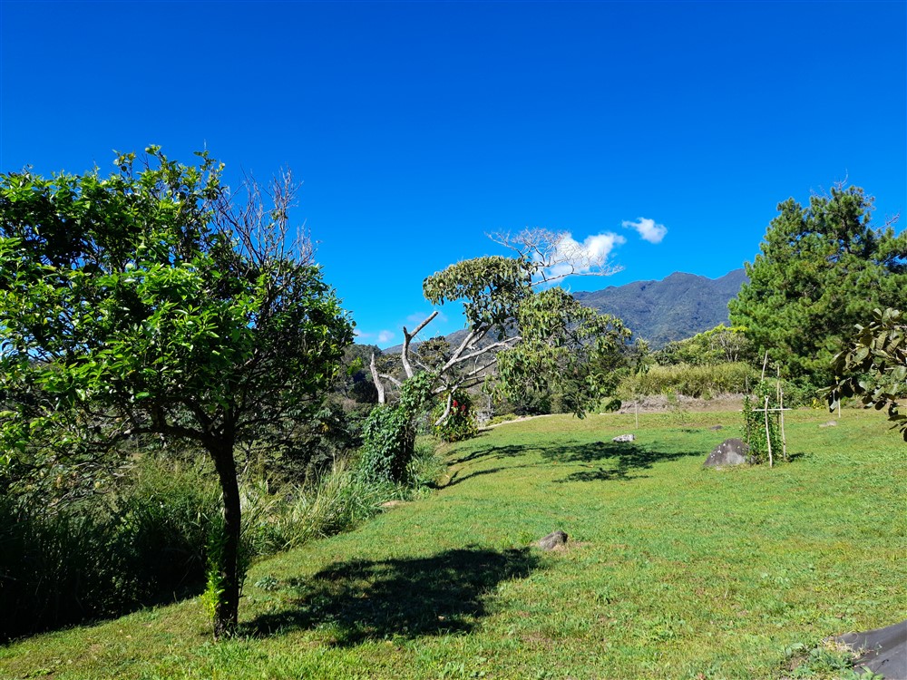 Withdrawn - Fantastic 1.5 Acre Lot for Sale in Volcancito, Boquete Close to La Estancia Swimming Pool photo 6
