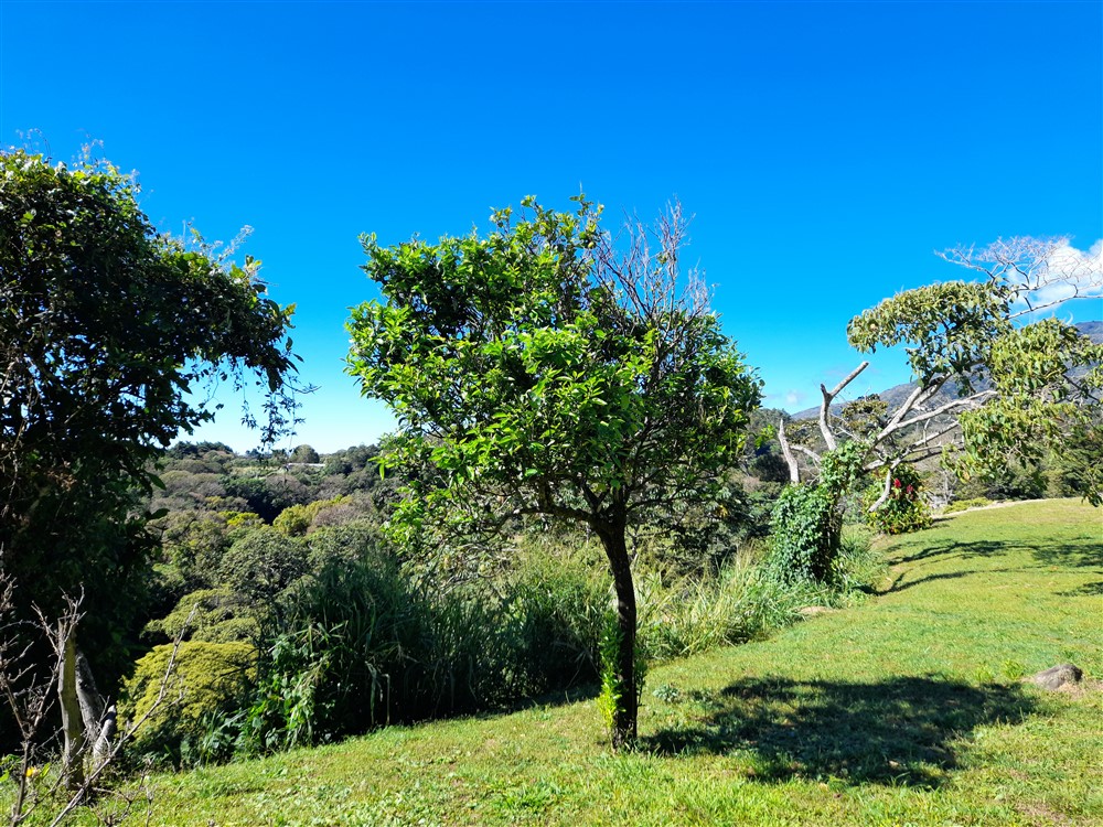 Withdrawn - Fantastic 1.5 Acre Lot for Sale in Volcancito, Boquete Close to La Estancia Swimming Pool photo 7