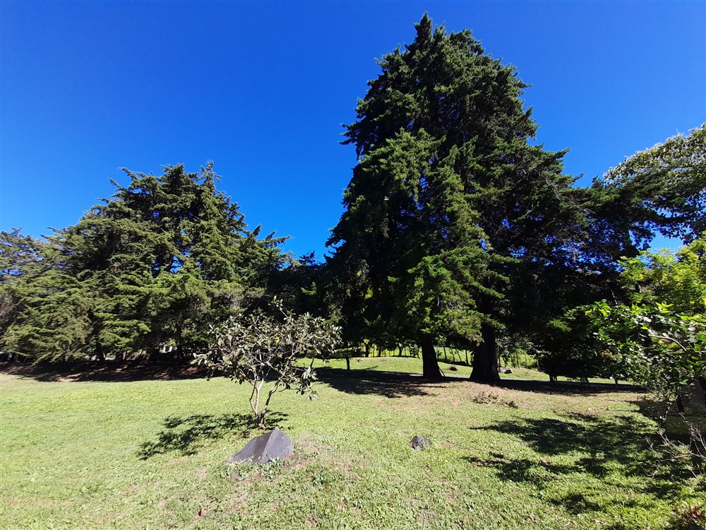 Withdrawn - Fantastic 1.5 Acre Lot for Sale in Volcancito, Boquete Close to La Estancia Swimming Pool photo 9