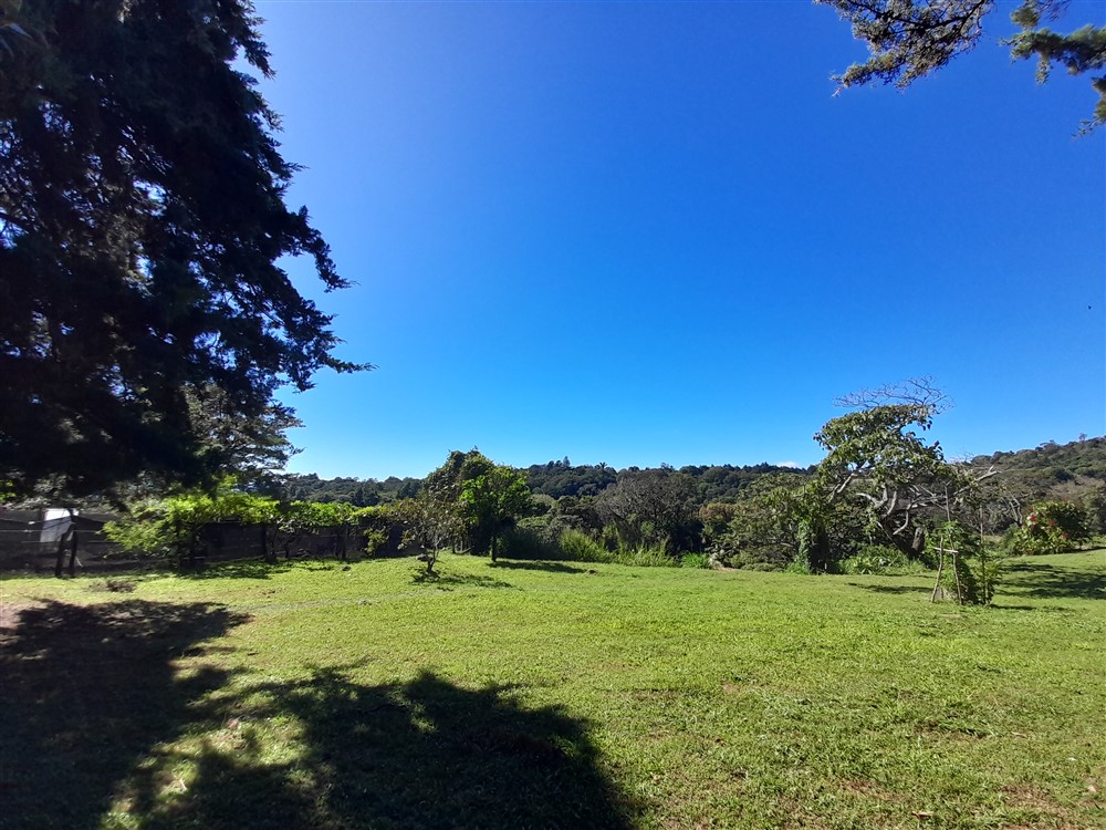 Withdrawn - Fantastic 1.5 Acre Lot for Sale in Volcancito, Boquete Close to La Estancia Swimming Pool photo 10