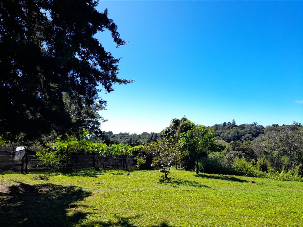 Withdrawn - Fantastic 1.5 Acre Lot for Sale in Volcancito, Boquete Close to La Estancia Swimming Pool photo 11