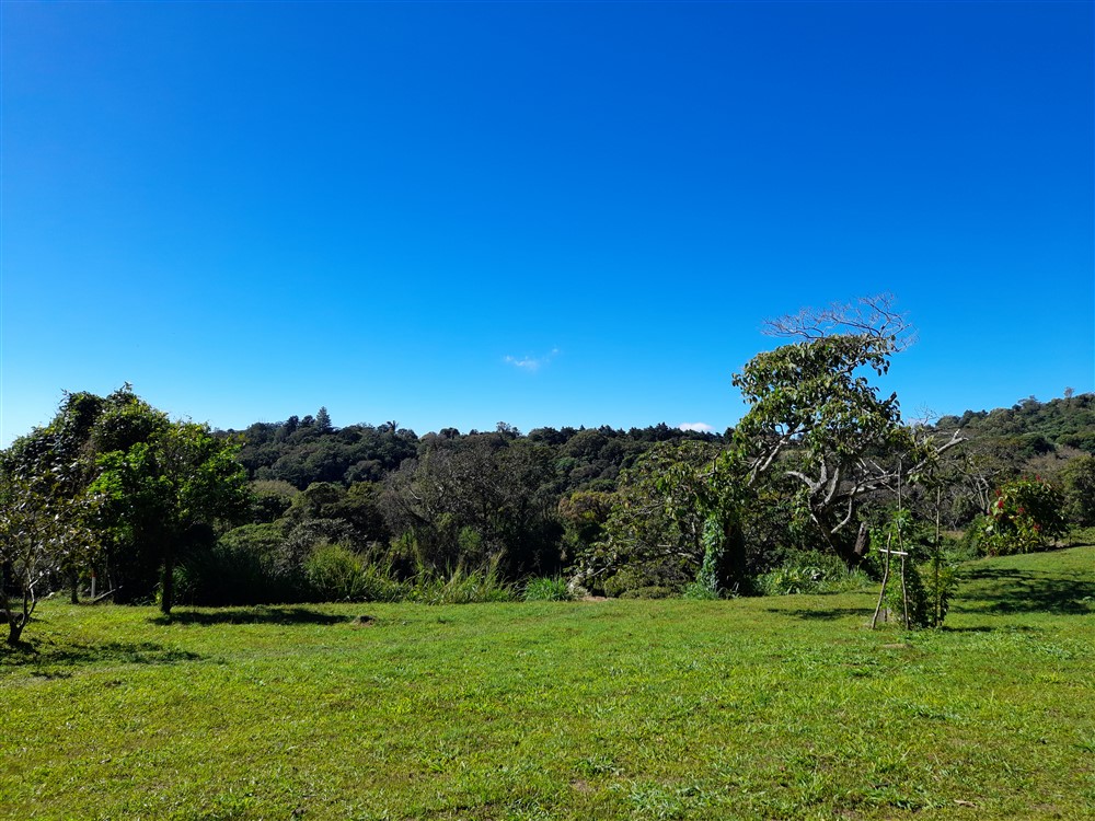 Withdrawn - Fantastic 1.5 Acre Lot for Sale in Volcancito, Boquete Close to La Estancia Swimming Pool photo 12