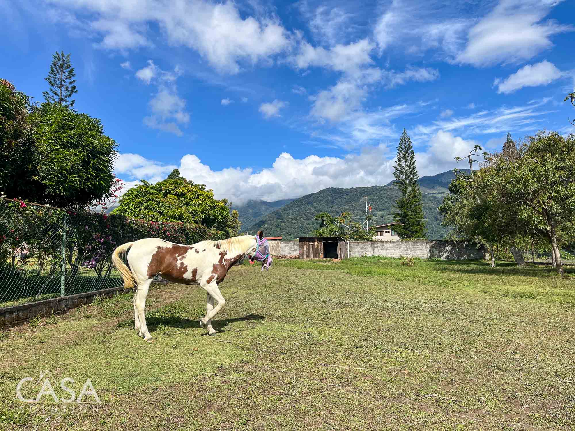 Sold by Casa Solution! Rare El Salto Building Site with Great Views for Sale in Boquete, Chiriqui - Just 3 minutes to Downtown Boquete! photo 10
