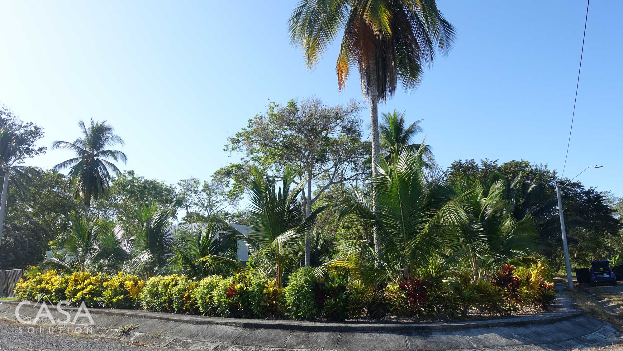 Rare Gem 2,111 sqm Flat Lot with Stunning Ocean Views For Sale in Coco Beach, Puerto Armuelles, Chiriqui photo 6