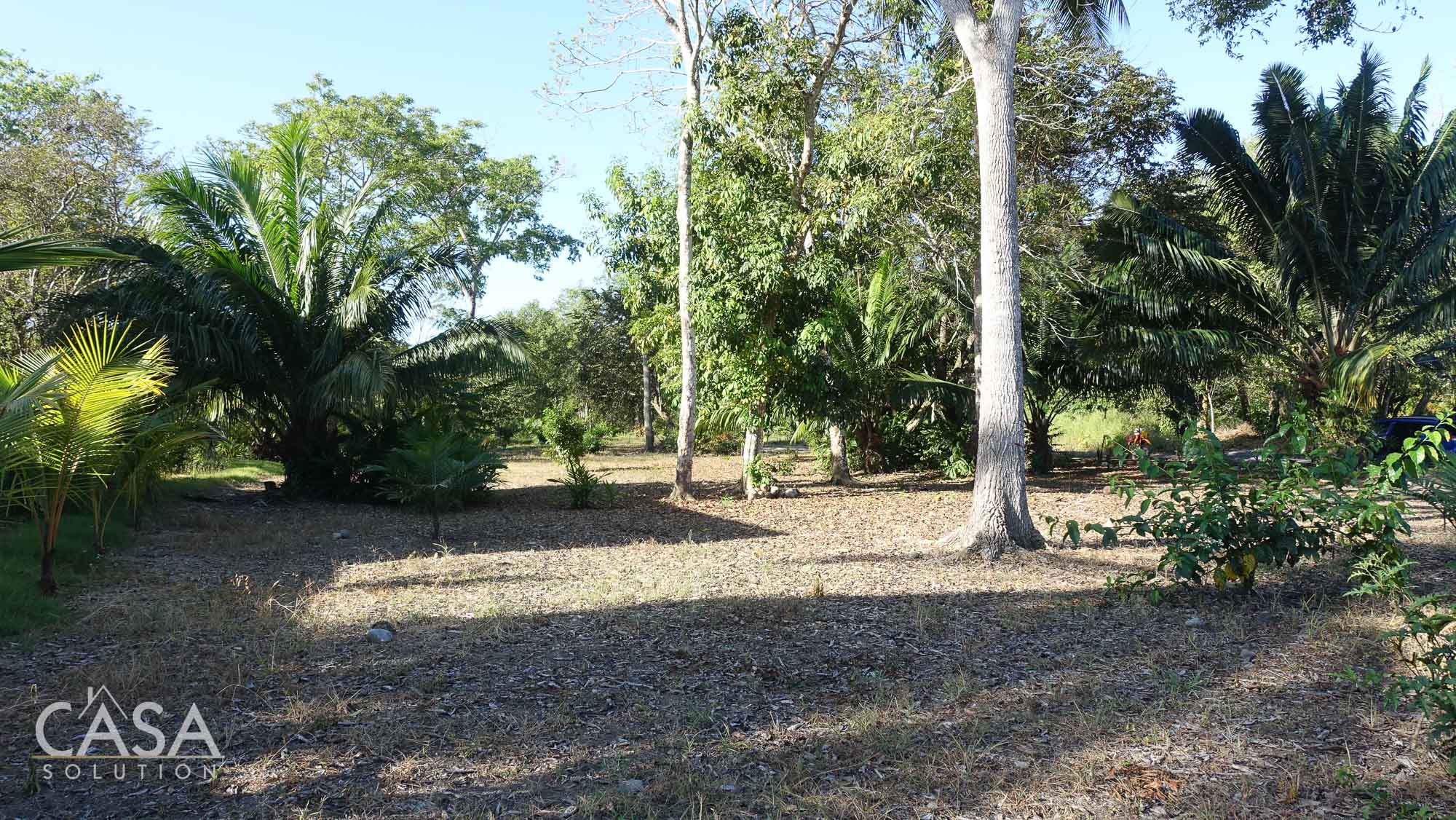 Rare Gem 2,111 sqm Flat Lot with Stunning Ocean Views For Sale in Coco Beach, Puerto Armuelles, Chiriqui photo 8