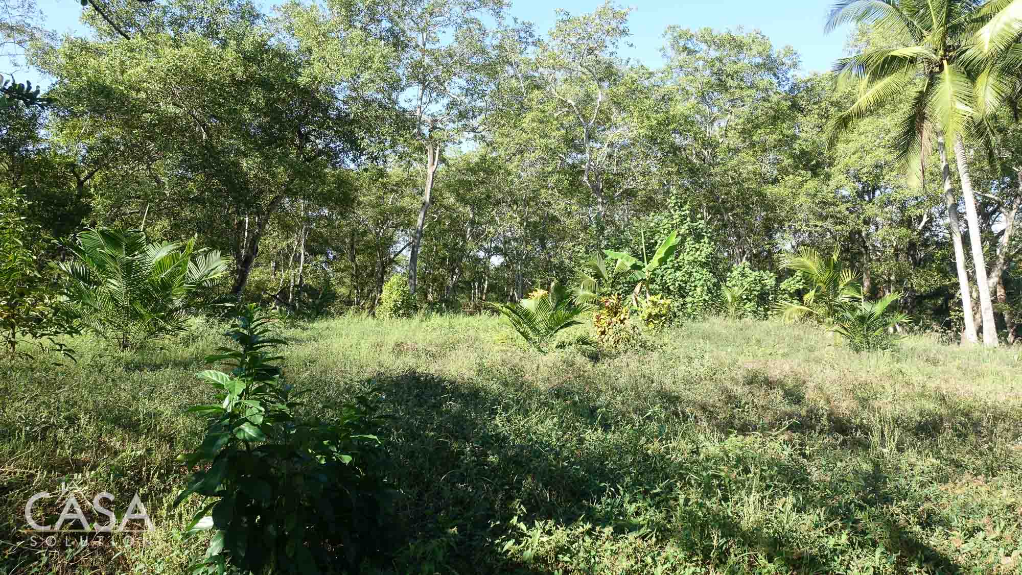 Rare Gem 2,111 sqm Flat Lot with Stunning Ocean Views For Sale in Coco Beach, Puerto Armuelles, Chiriqui photo 12
