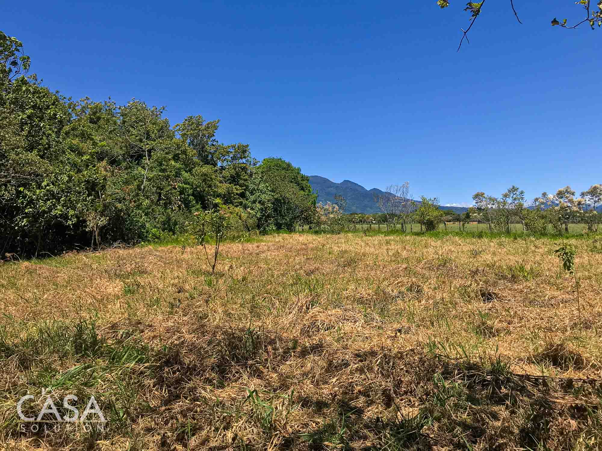 Withdrawn - Scenic Lot with Volcán Barú Backdrop for Sale in Villa Venus, Potrerillos, Chiriquí photo 11
