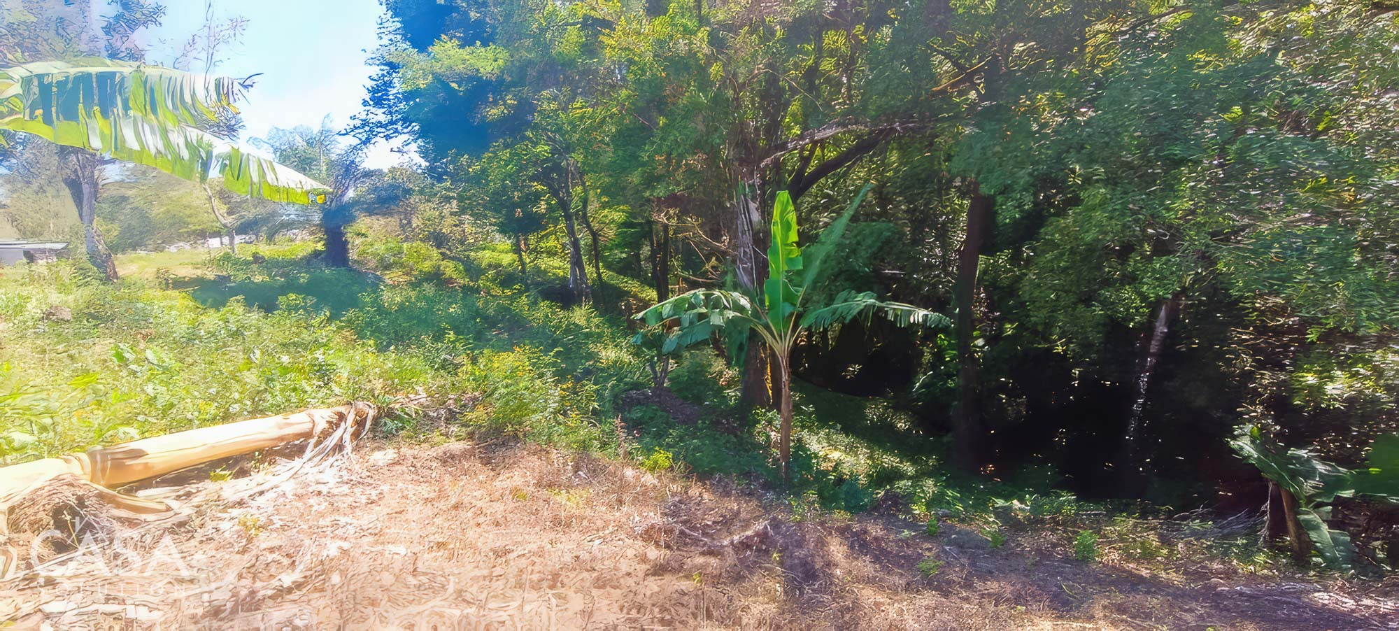Withdrawn - Fertile 1.8-Acre Terrain Lot for Sale in Palmira Abajo, Boquete, Chiriqui photo 2