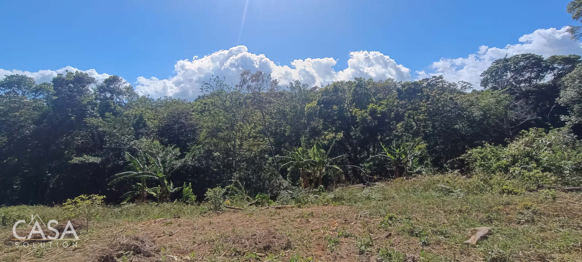 Withdrawn - Fertile 1.8-Acre Terrain Lot for Sale in Palmira Abajo, Boquete, Chiriqui photo 4