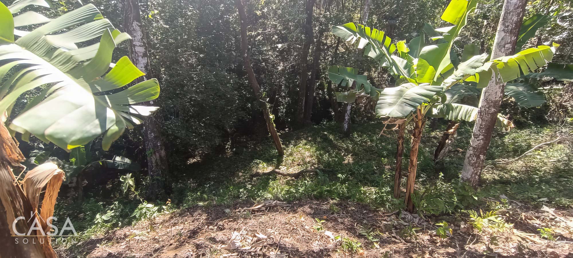 Withdrawn - Fertile 1.8-Acre Terrain Lot for Sale in Palmira Abajo, Boquete, Chiriqui photo 8