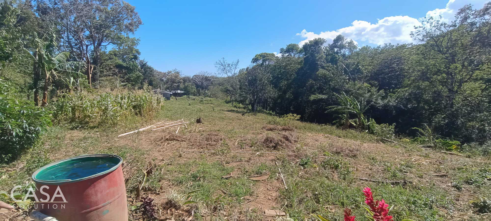 Withdrawn - Fertile 1.8-Acre Terrain Lot for Sale in Palmira Abajo, Boquete, Chiriqui photo 10