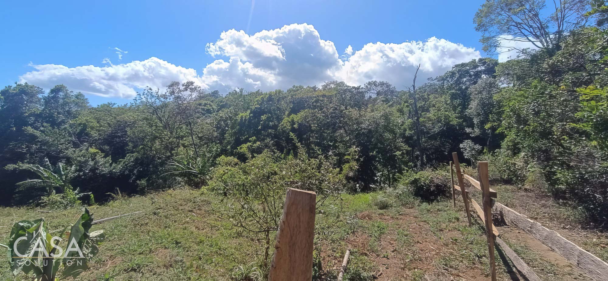 Withdrawn - Fertile 1.8-Acre Terrain Lot for Sale in Palmira Abajo, Boquete, Chiriqui photo 9