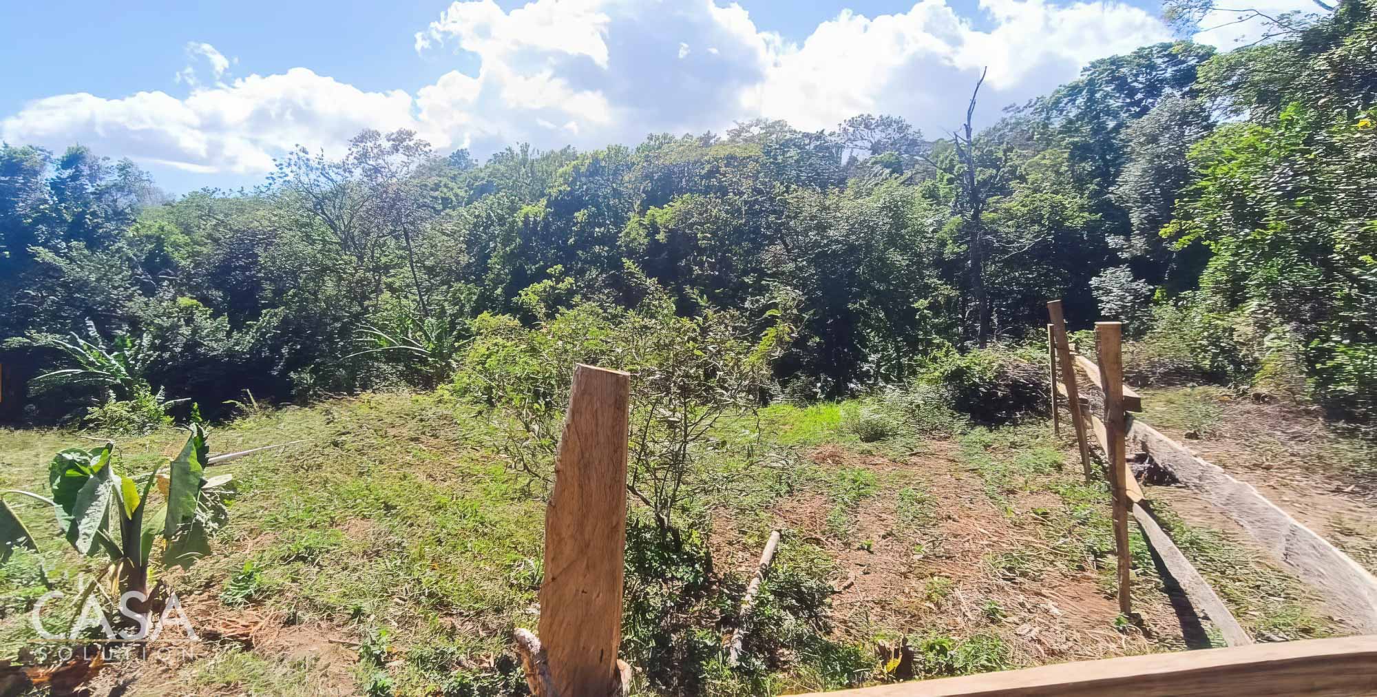 Withdrawn - Fertile 1.8-Acre Terrain Lot for Sale in Palmira Abajo, Boquete, Chiriqui photo 5