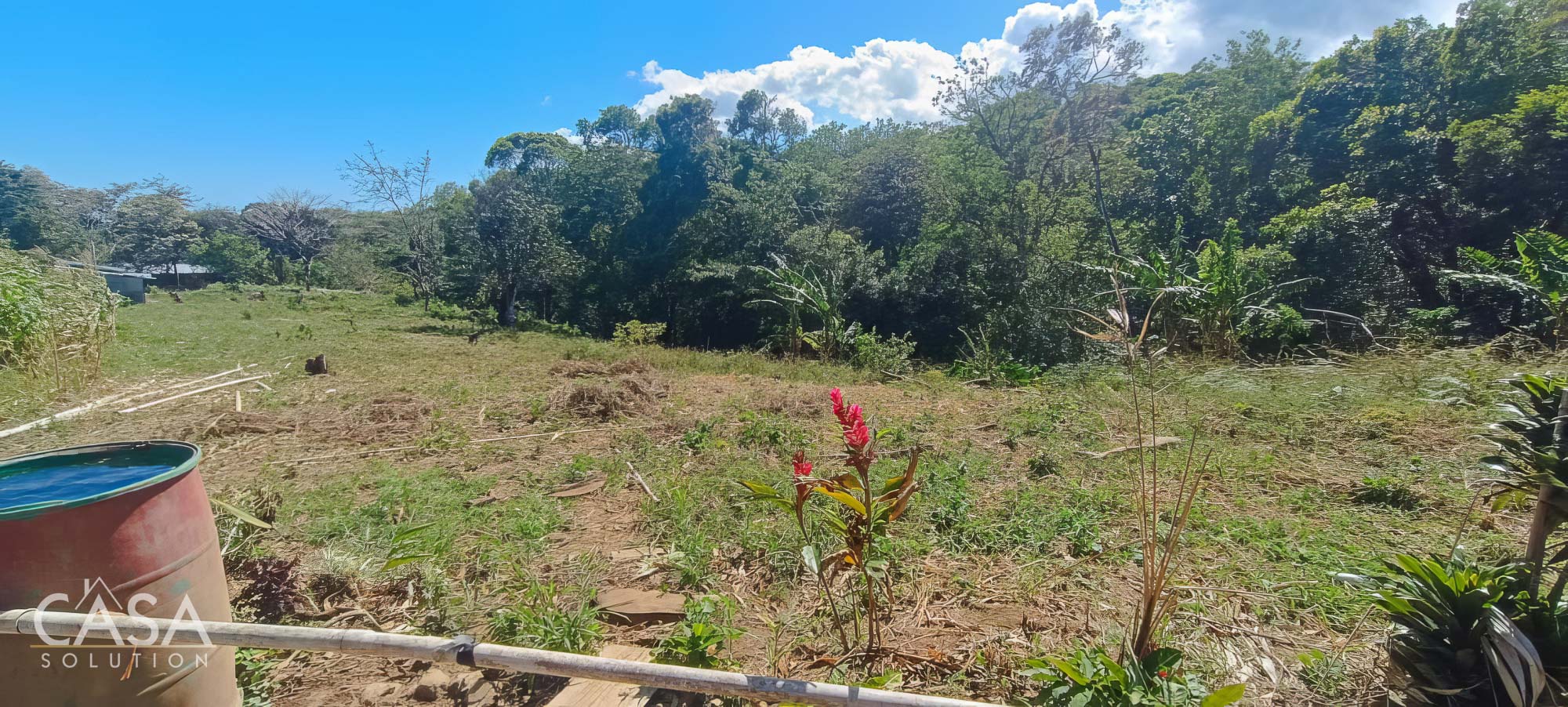 Withdrawn - Fertile 1.8-Acre Terrain Lot for Sale in Palmira Abajo, Boquete, Chiriqui photo 6