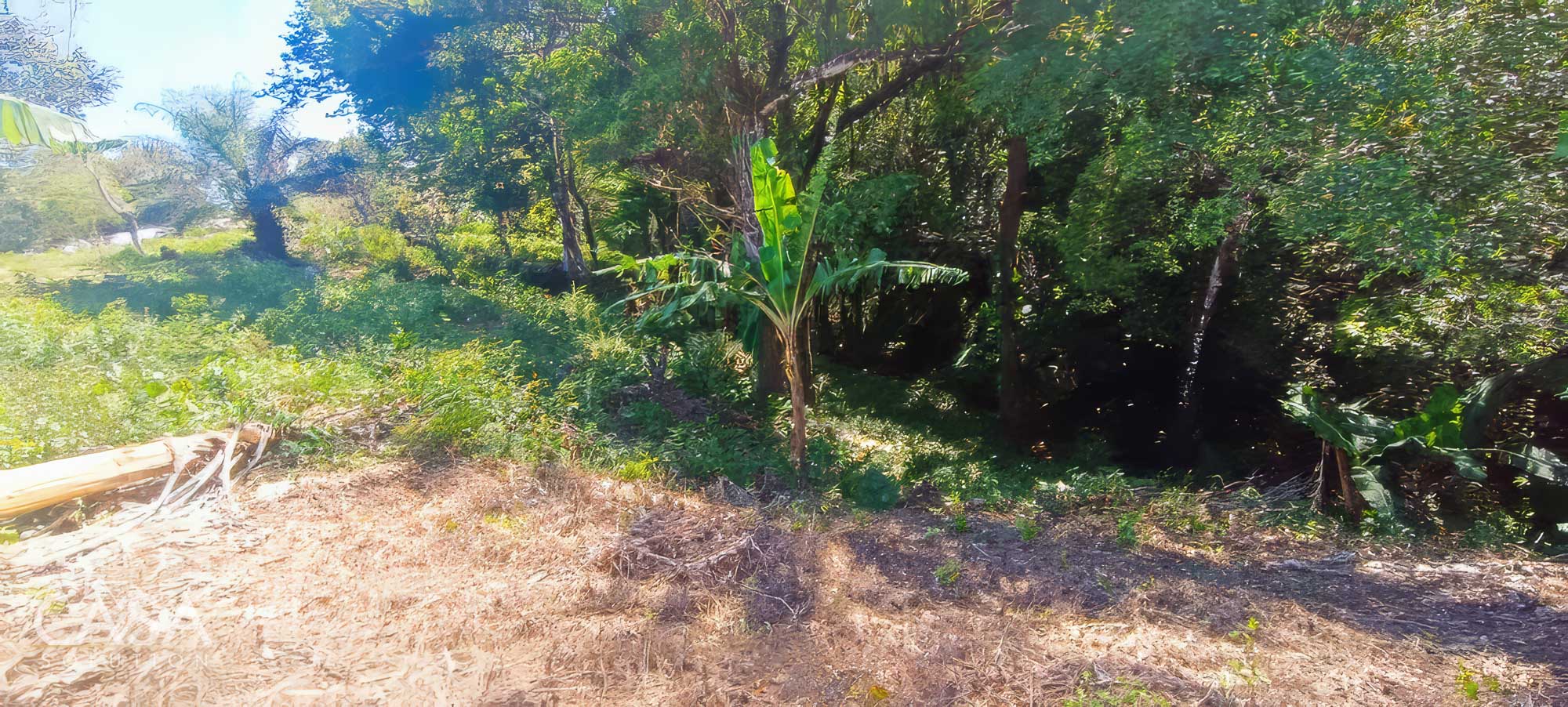 Withdrawn - Fertile 1.8-Acre Terrain Lot for Sale in Palmira Abajo, Boquete, Chiriqui photo 3