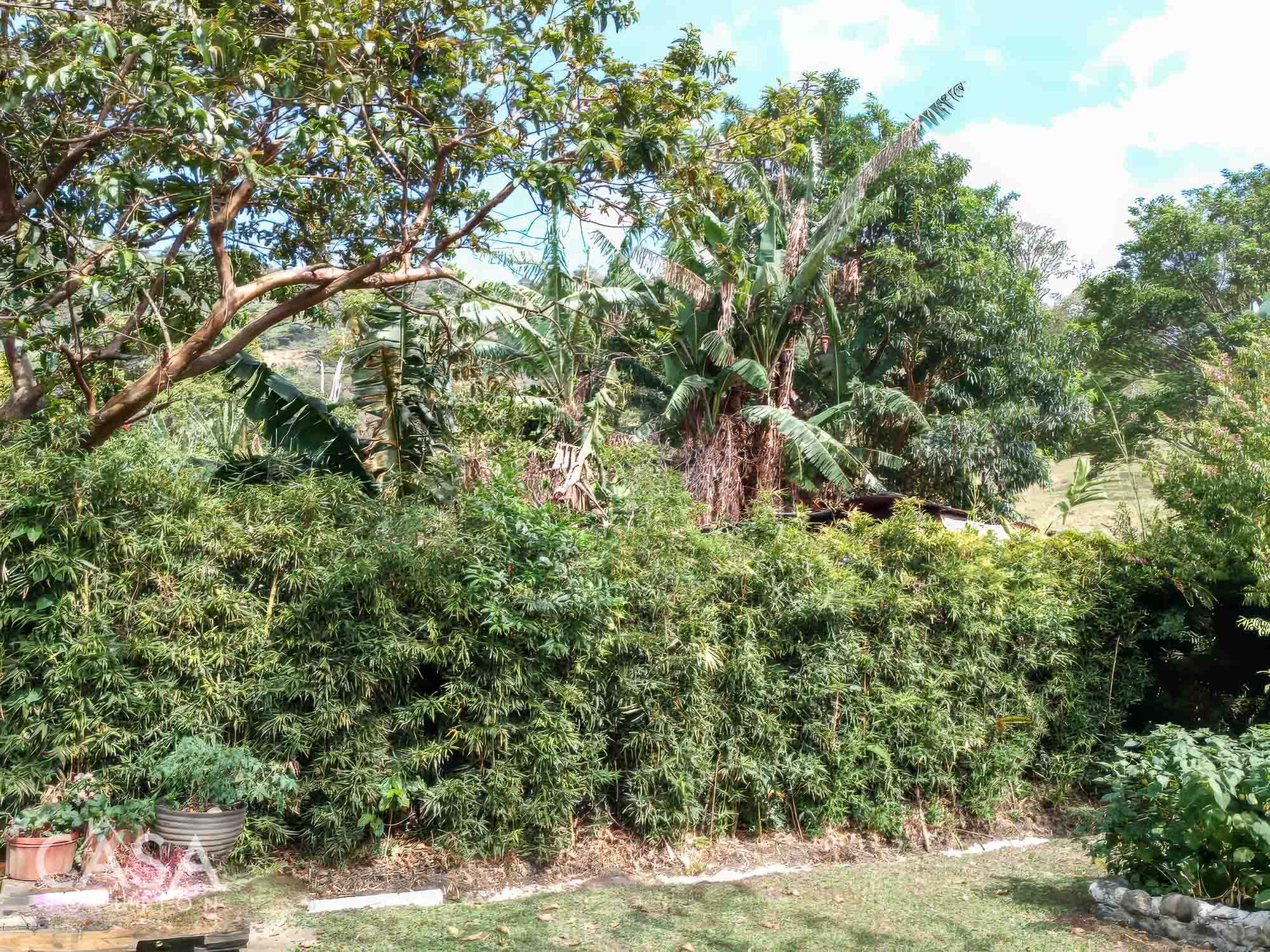 Withdrawn - Price Reduction! Inviting and Affordable Boquete Casita nestled amidst mountains for Sale in Alto Lino. With terrace views near Downtown Boquete photo 12