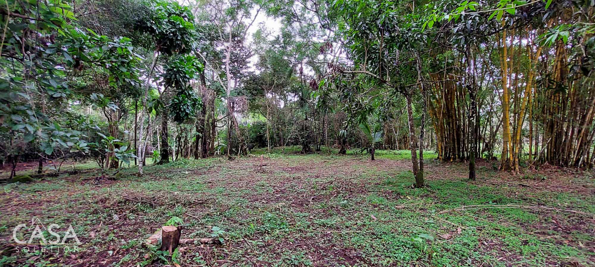 Protected: Price Reduced and Negotiable! Potrerillos Abajo Lot. 1.1 hectares with stream, trees, utilities, and panoramic views for Sale in Dolega, Chiriqui
