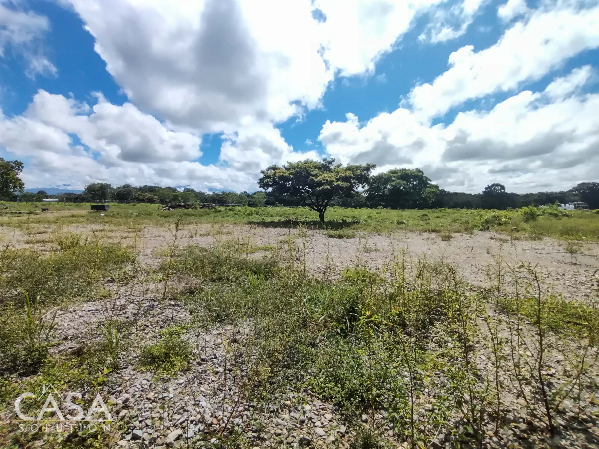 Flat Land for Sale in Dolega, Chiriqui - Conveniently located and Suitable for building, homesteading, farming, and more