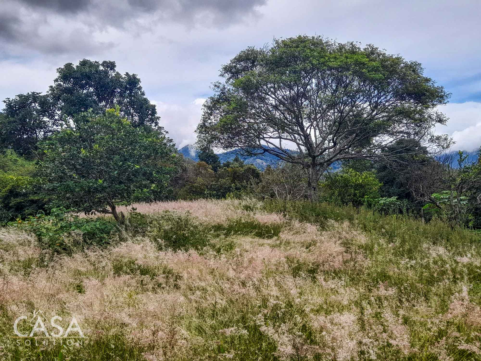 Price Reduction! 2-hectare Lot for Sale in Volcancito, Boquete with coffee plants, and stunning mountain views photo 11