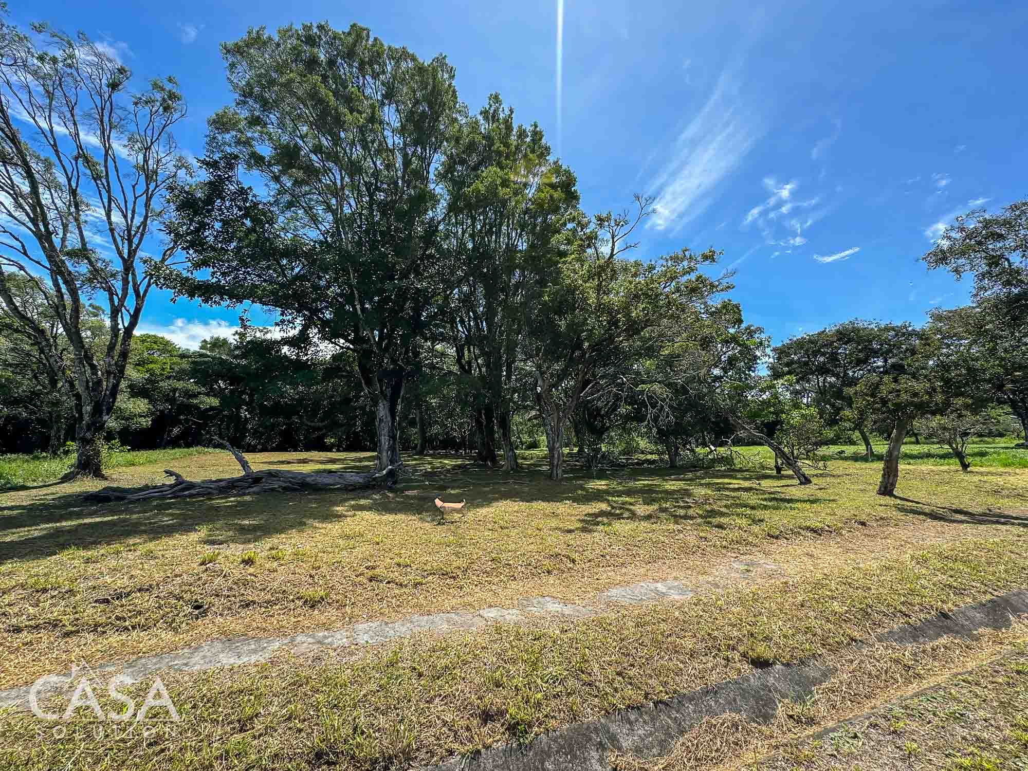 Price Reduction! Lot for sale in Vía Palmira, Boquete. Just 9 mins from downtown, quiet neighborhood, and mature trees.