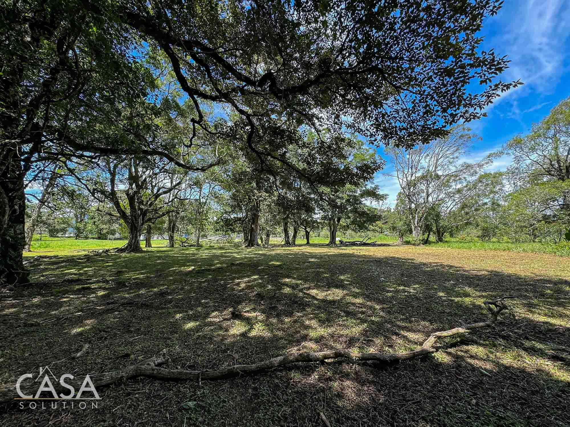 Price Reduction! Lot for sale in Vía Palmira, Boquete. Just 9 mins from downtown, quiet neighborhood, and mature trees. photo 2