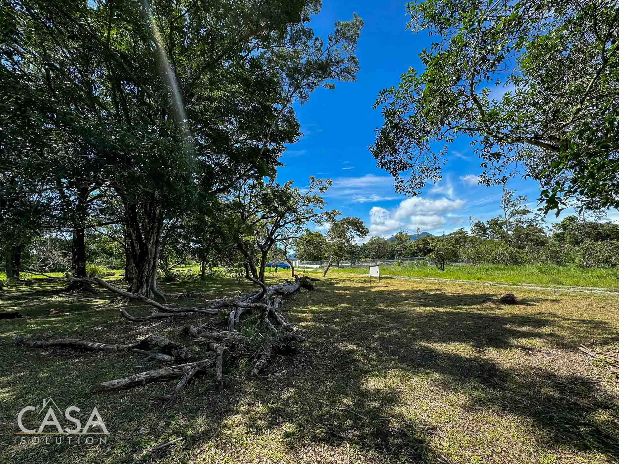 Price Reduction! Lot for sale in Vía Palmira, Boquete. Just 9 mins from downtown, quiet neighborhood, and mature trees. photo 3