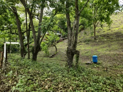 Centrally-Located Lot with 2 Rental Studios for Sale in Los Buzos Area, Cambutal, Panama – Short Walking Distance to The Beach!