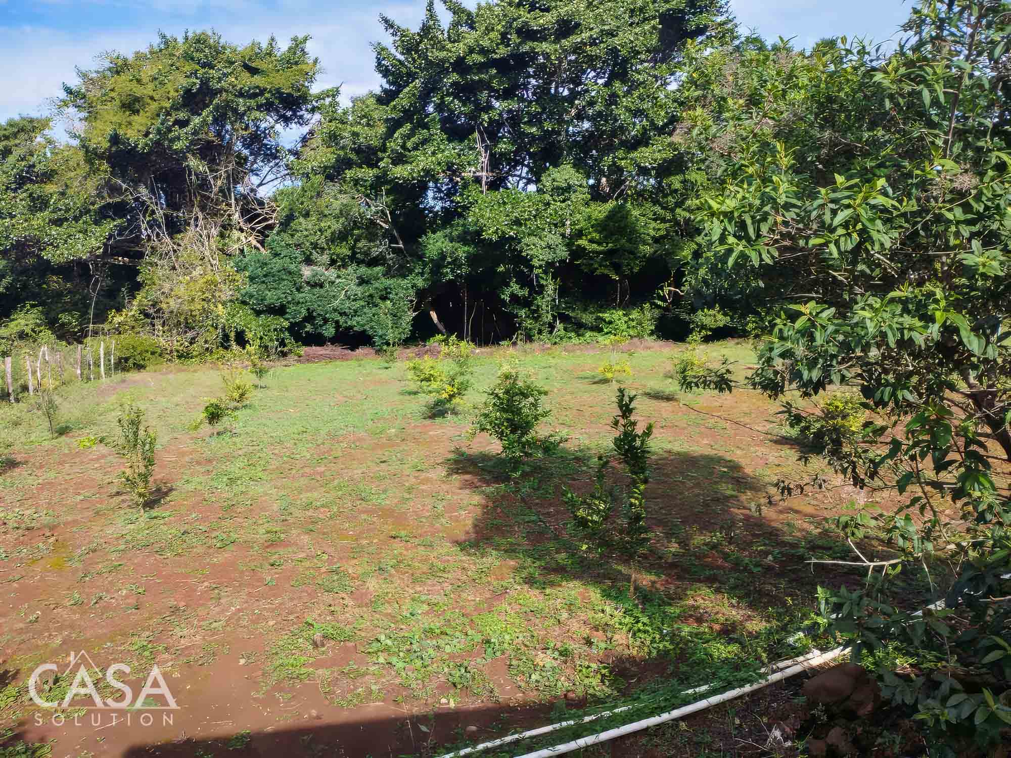 Withdrawn - Cozy Studio House With Lemon and Orange Trees for Sale in Potrerillos, Dolega. photo 9