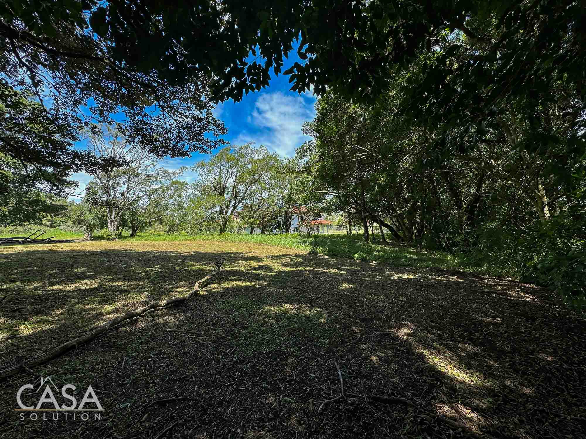 Price Reduction! Lot for sale in Vía Palmira, Boquete. Just 9 mins from downtown, quiet neighborhood, and mature trees. photo 4