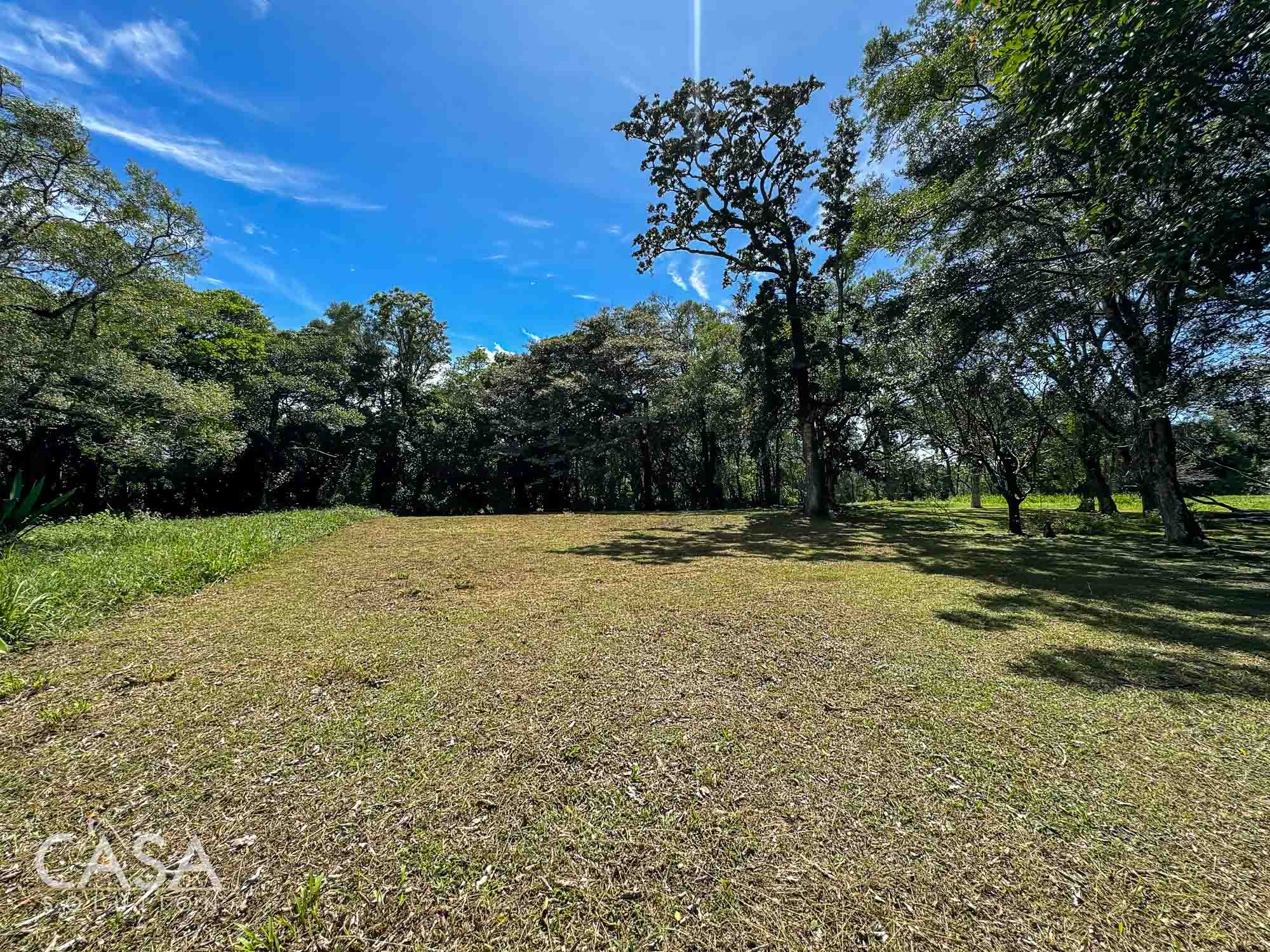 Price Reduction! Lot for sale in Vía Palmira, Boquete. Just 9 mins from downtown, quiet neighborhood, and mature trees. photo 6