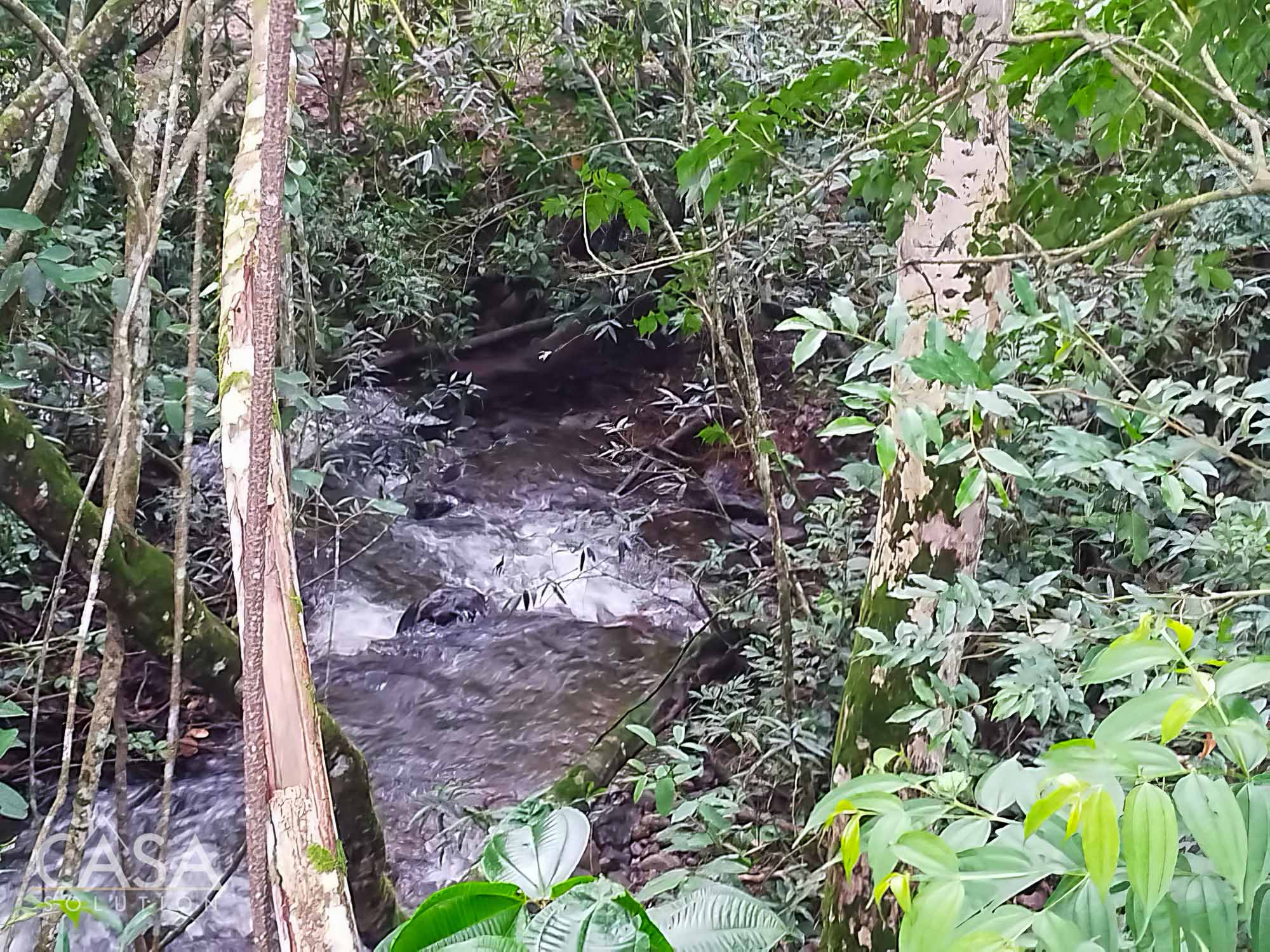 Withdrawn - Fully furnished 1-bedroom home in Potrerillos Abajo, Chiriqui. on a good-sized lot with fruit trees, irrigation system. photo 5