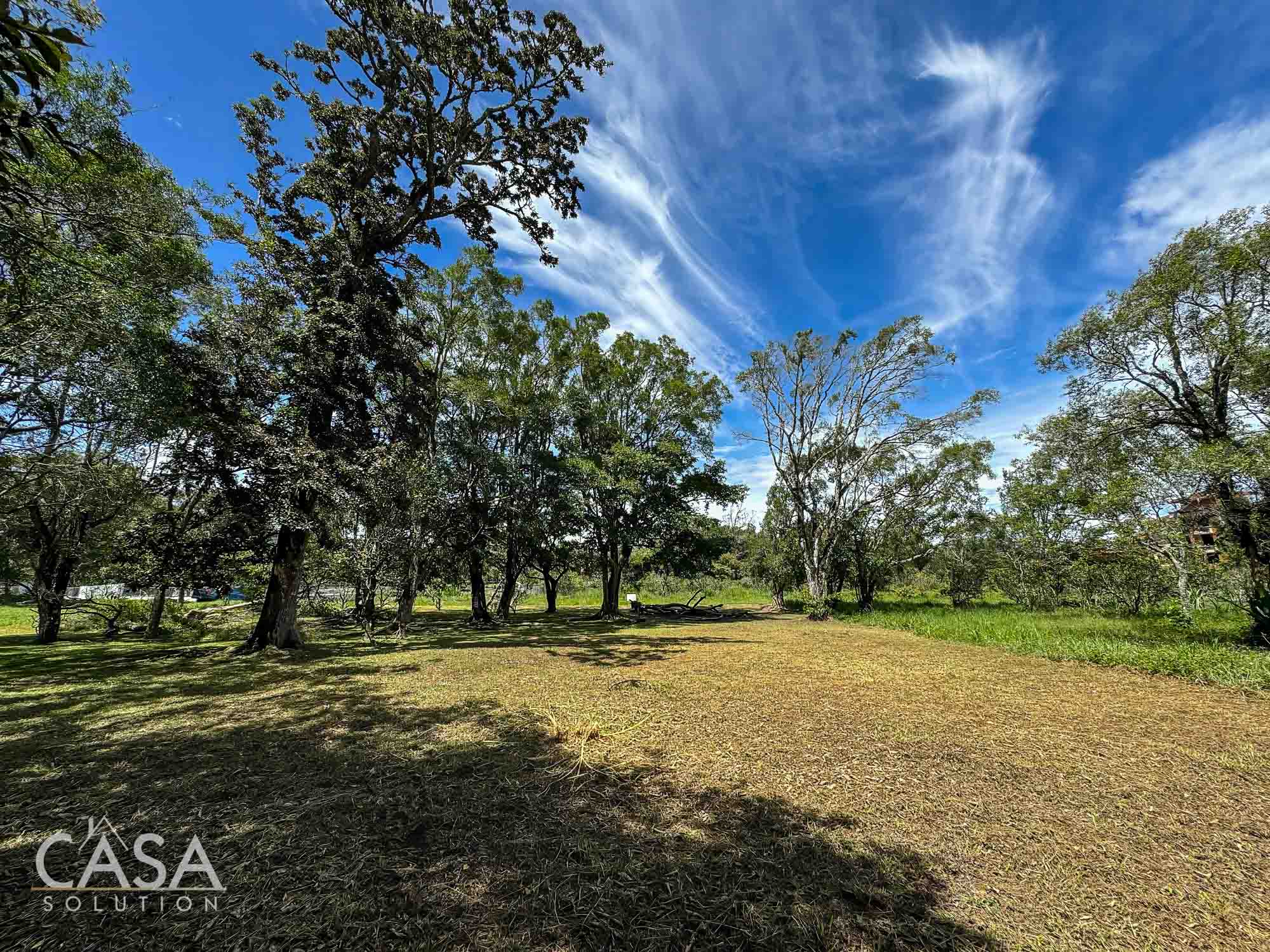 Price Reduction! Lot for sale in Vía Palmira, Boquete. Just 9 mins from downtown, quiet neighborhood, and mature trees. photo 9
