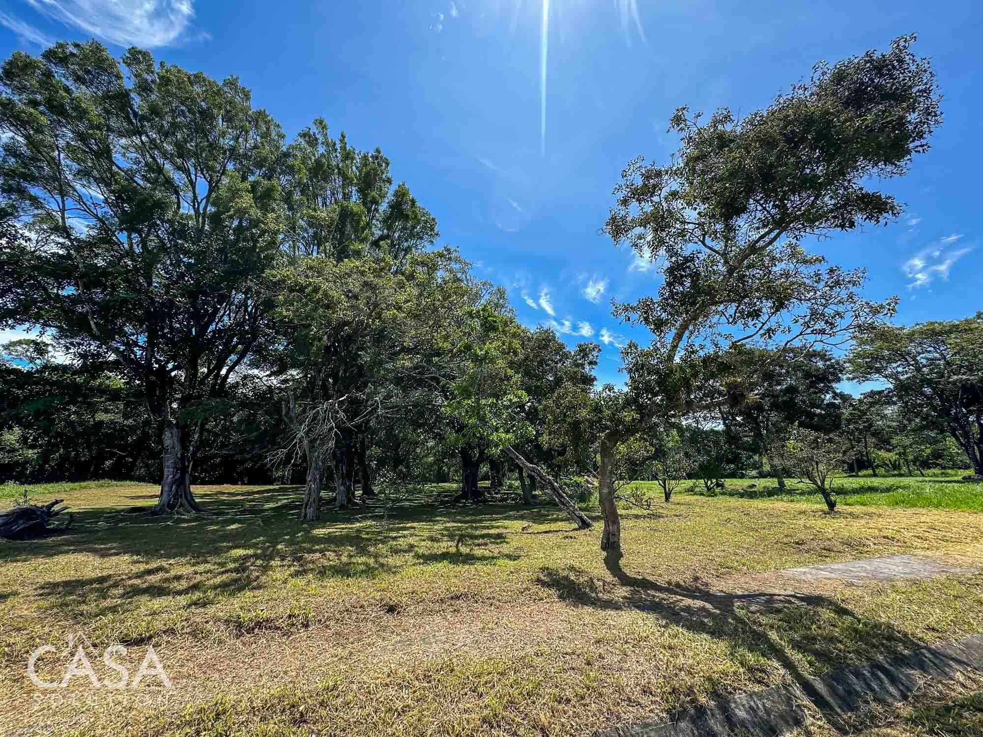 Price Reduction! Lot for sale in Vía Palmira, Boquete. Just 9 mins from downtown, quiet neighborhood, and mature trees. photo 10