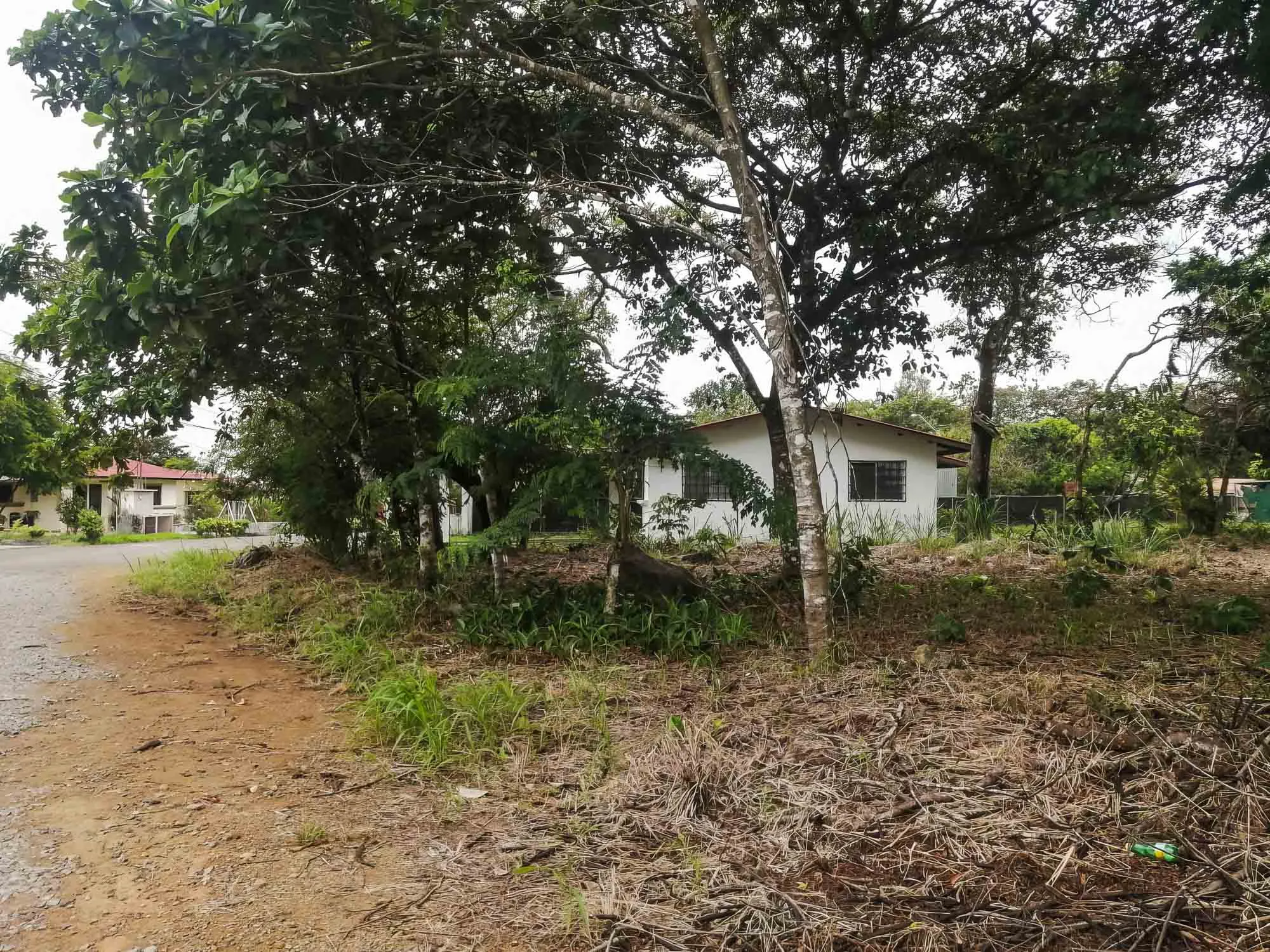 Price Reduction! Flat lot for sale in Los Algarrobos, Dolega. Close to David! photo 2