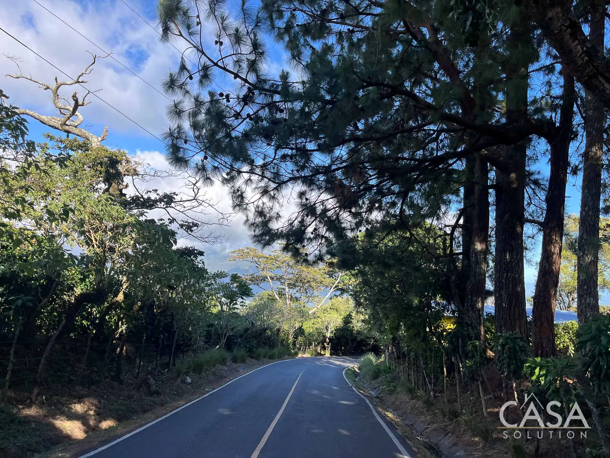 Sold By Casa Solution!! Coffee plantation for sale in Alto Quiel, Bajo Boquete. 7 hectares, 8,258.07 sqm with mountain views and a flat area for building. Ideal for coffee cultivation.