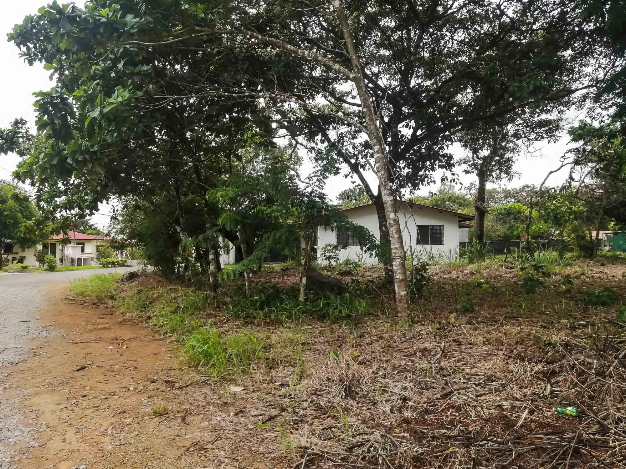Price Reduction! Flat lot for sale in Los Algarrobos, Dolega. Close to David!