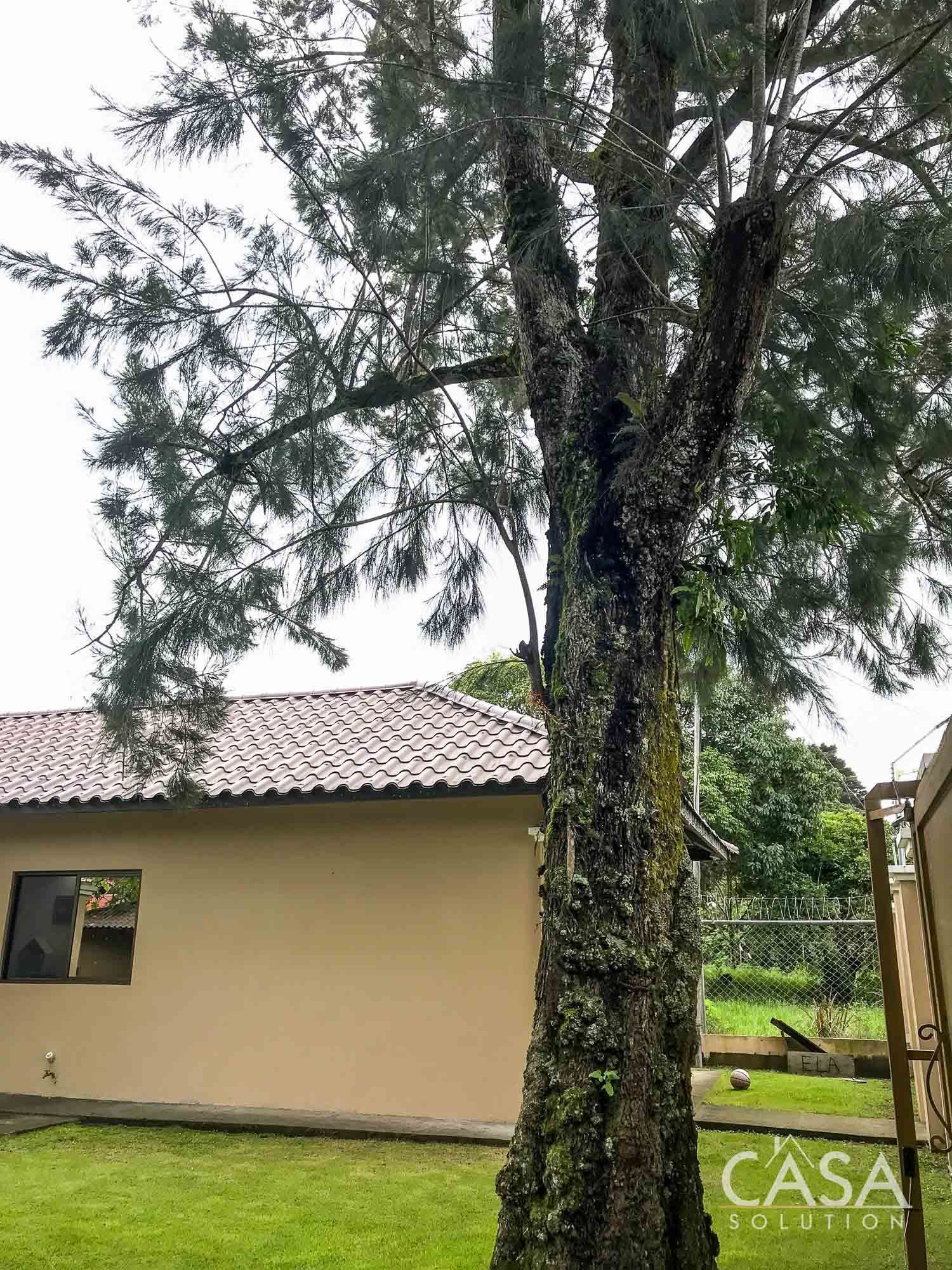Sold by Owner! Modern 3-bedroom home for Sale in El Valle, Volcán with spacious interiors, a large yard, and a serene streamside setting photo 9