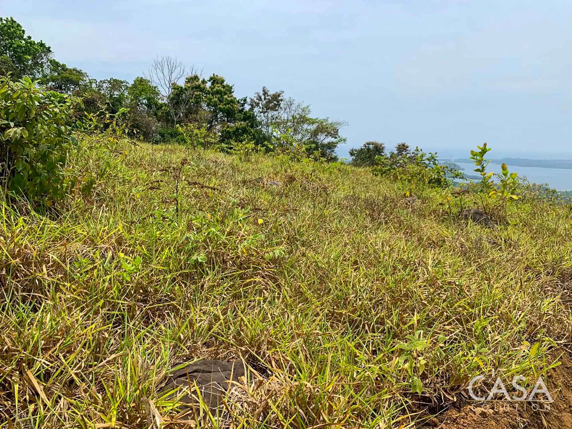 2.07-hectare land for Sale in Las Lajas de Tole with sunset ocean views, available as one property or divided into individual lots photo 4