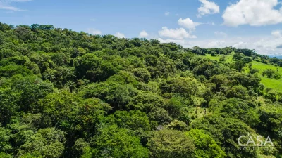 Price Reduction! Expansive land for Sale in Las Lomas, David, Chiriquí, with mountain views, mature trees, and natural water features, just 10 mins from David.