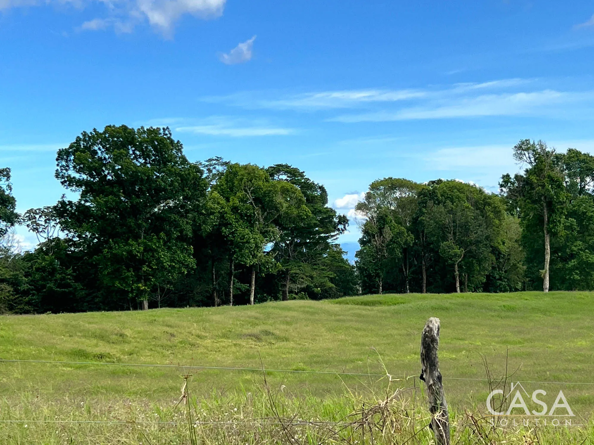 Sold by Casa Solution! 22.25 Hectares of Pasture Land for sale in Potrerillos Arriba: Potential for Agriculture and Development photo 12