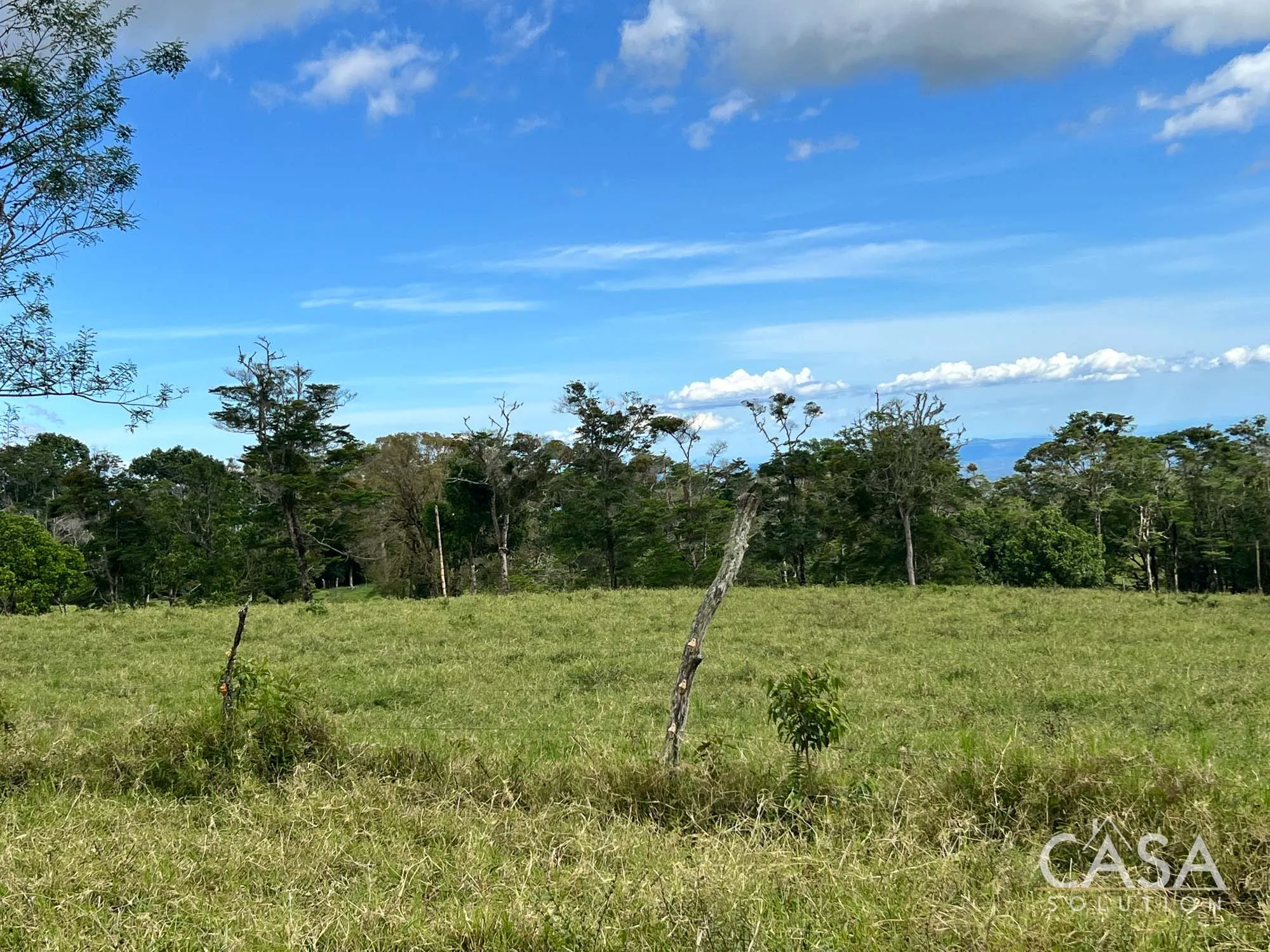 Sold by Casa Solution! 22.25 Hectares of Pasture Land for sale in Potrerillos Arriba: Potential for Agriculture and Development photo 11
