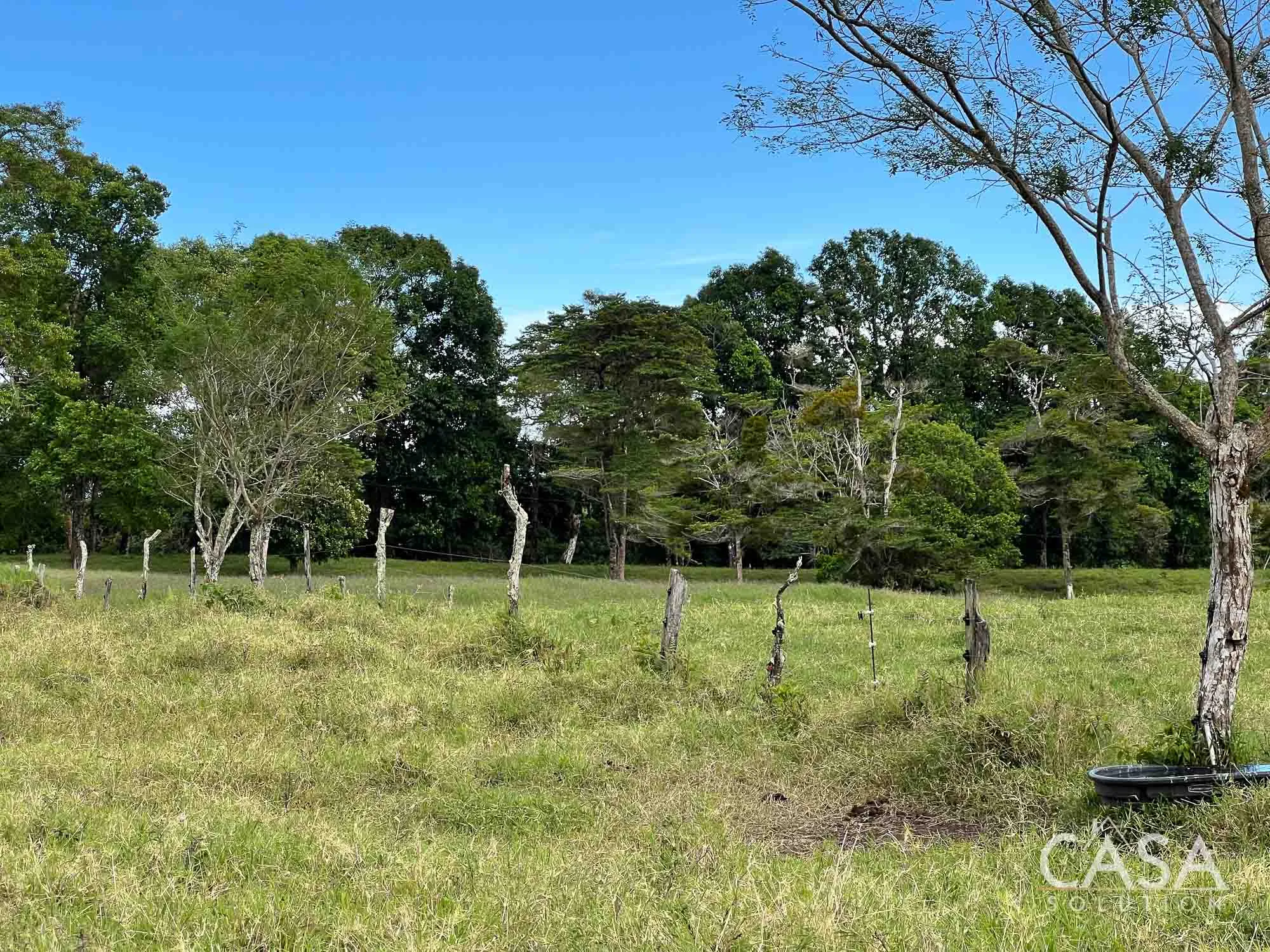 Sold by Casa Solution! 22.25 Hectares of Pasture Land for sale in Potrerillos Arriba: Potential for Agriculture and Development photo 10