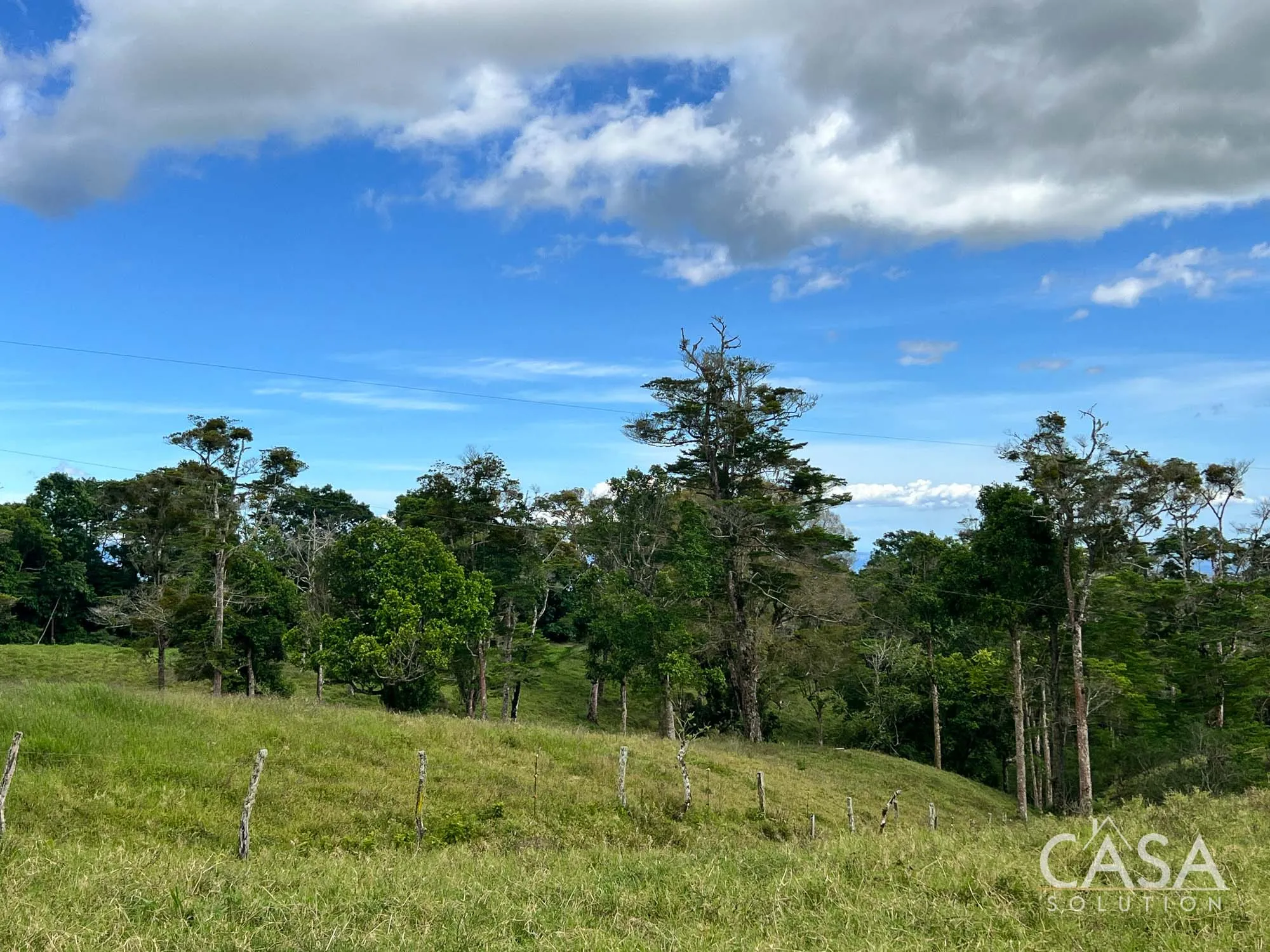 Sold by Casa Solution! 22.25 Hectares of Pasture Land for sale in Potrerillos Arriba: Potential for Agriculture and Development photo 9