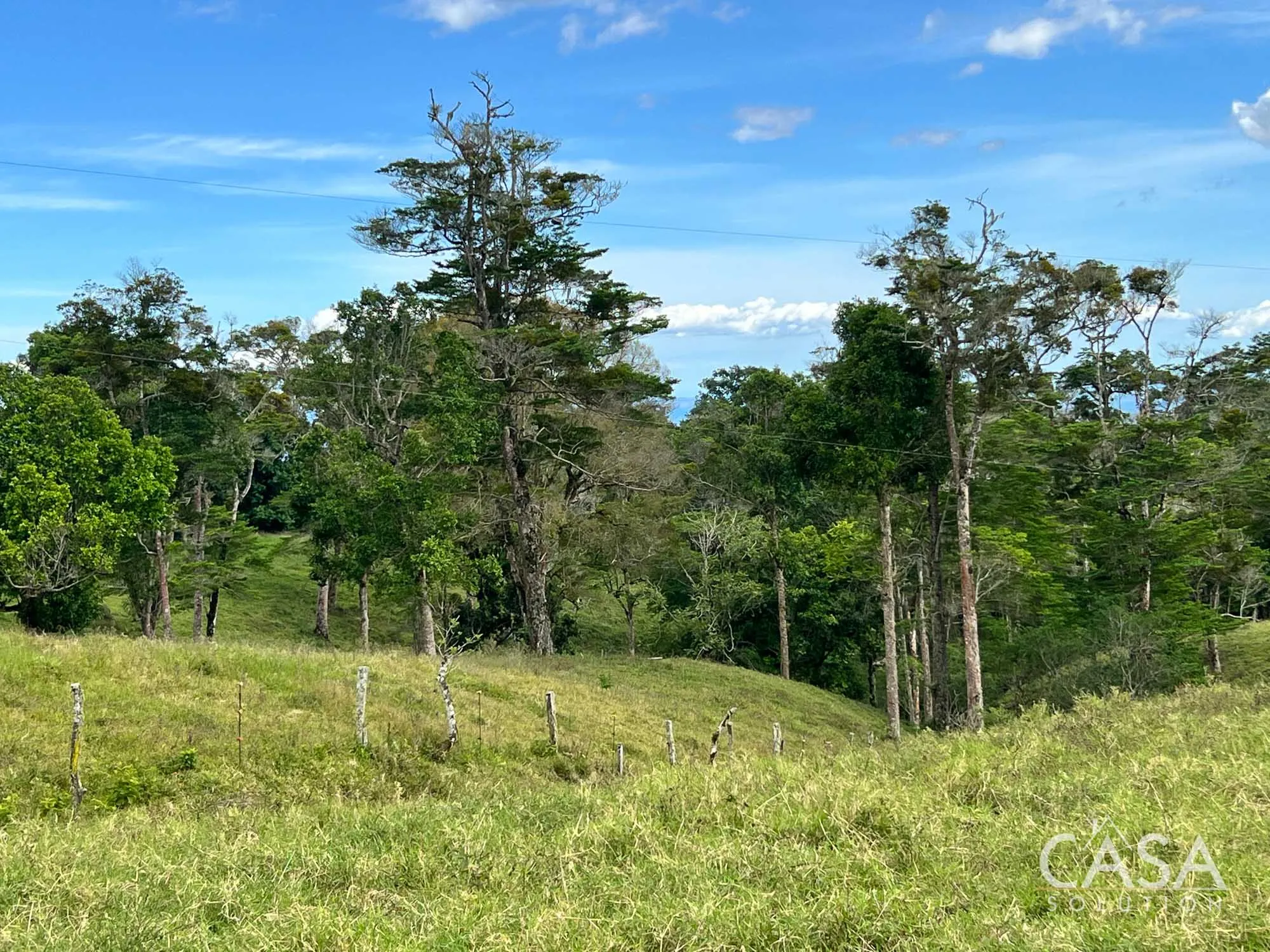 Sold by Casa Solution! 22.25 Hectares of Pasture Land for sale in Potrerillos Arriba: Potential for Agriculture and Development photo 8