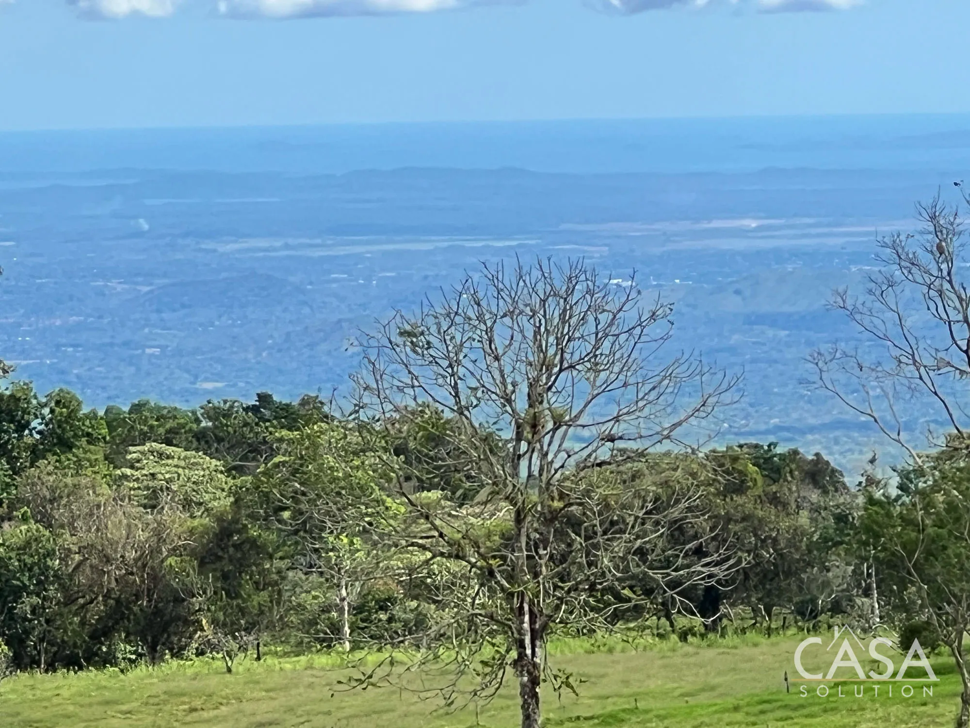 Sold by Casa Solution! 22.25 Hectares of Pasture Land for sale in Potrerillos Arriba: Potential for Agriculture and Development photo 7