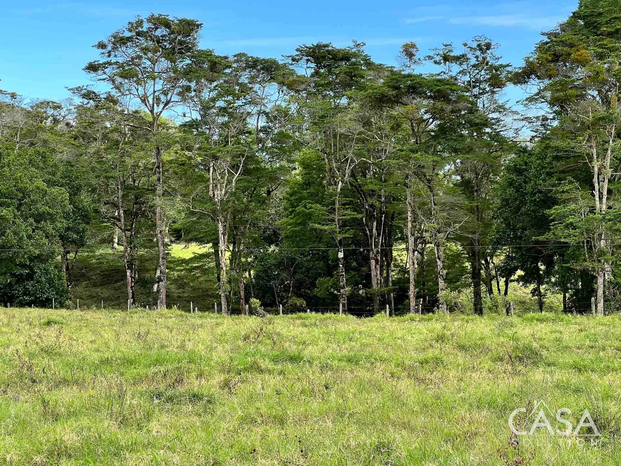 Sold by Casa Solution! 22.25 Hectares of Pasture Land for sale in Potrerillos Arriba: Potential for Agriculture and Development photo 6