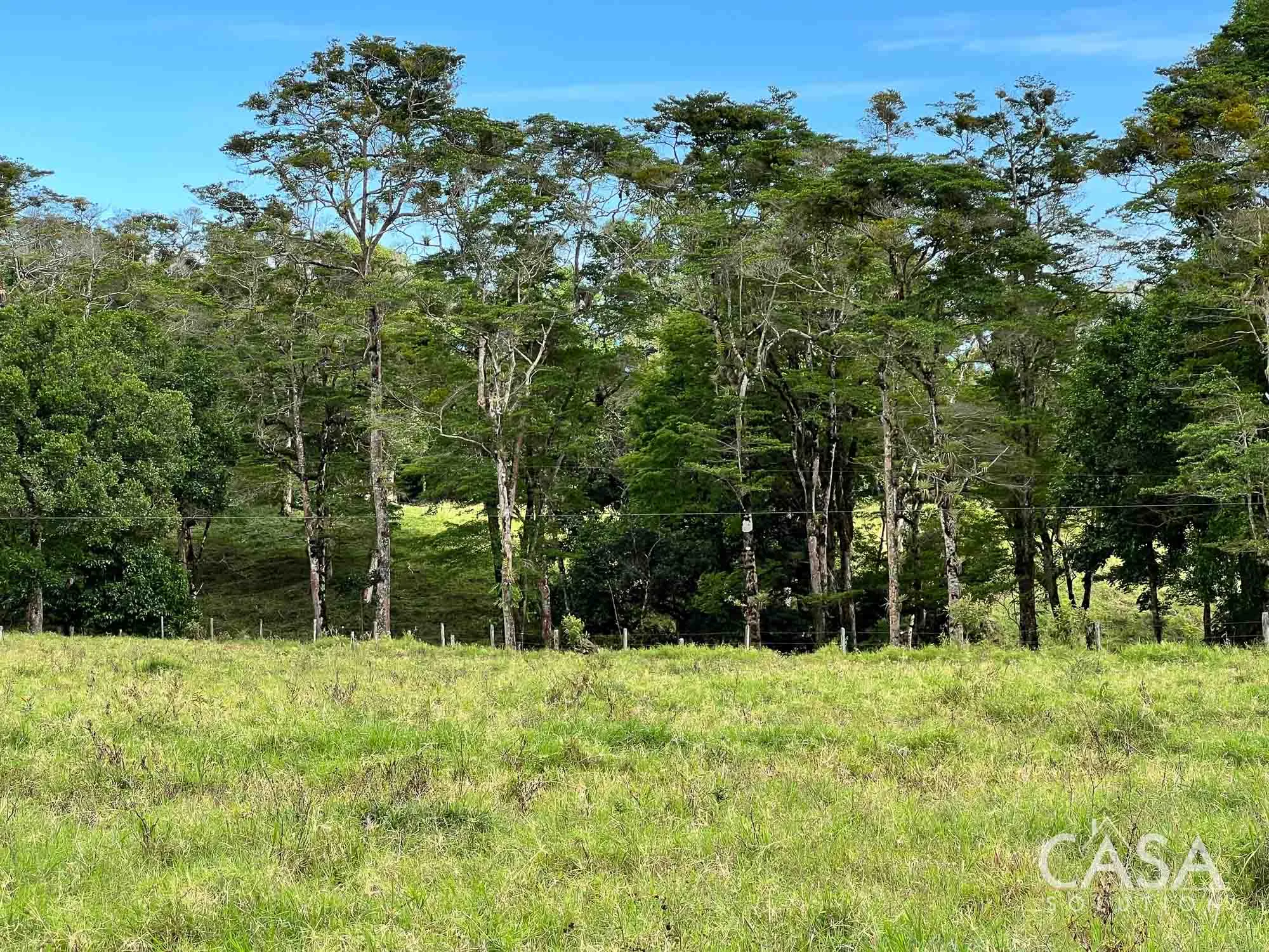 Sold by Casa Solution! 22.25 Hectares of Pasture Land for sale in Potrerillos Arriba: Potential for Agriculture and Development photo 5