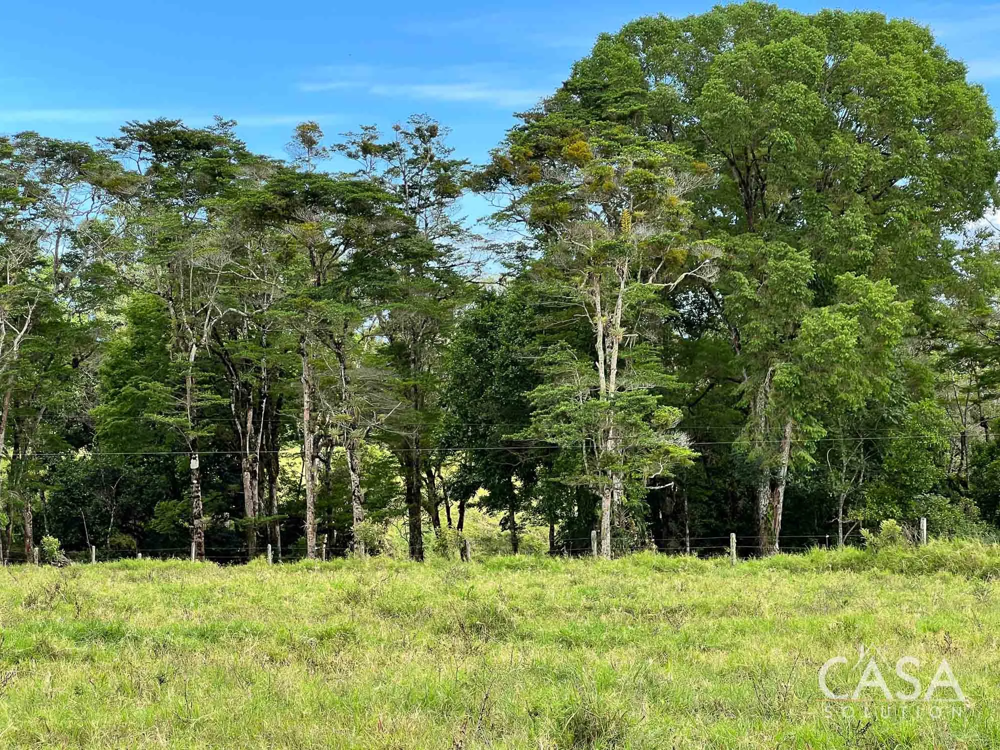 Sold by Casa Solution! 22.25 Hectares of Pasture Land for sale in Potrerillos Arriba: Potential for Agriculture and Development photo 4