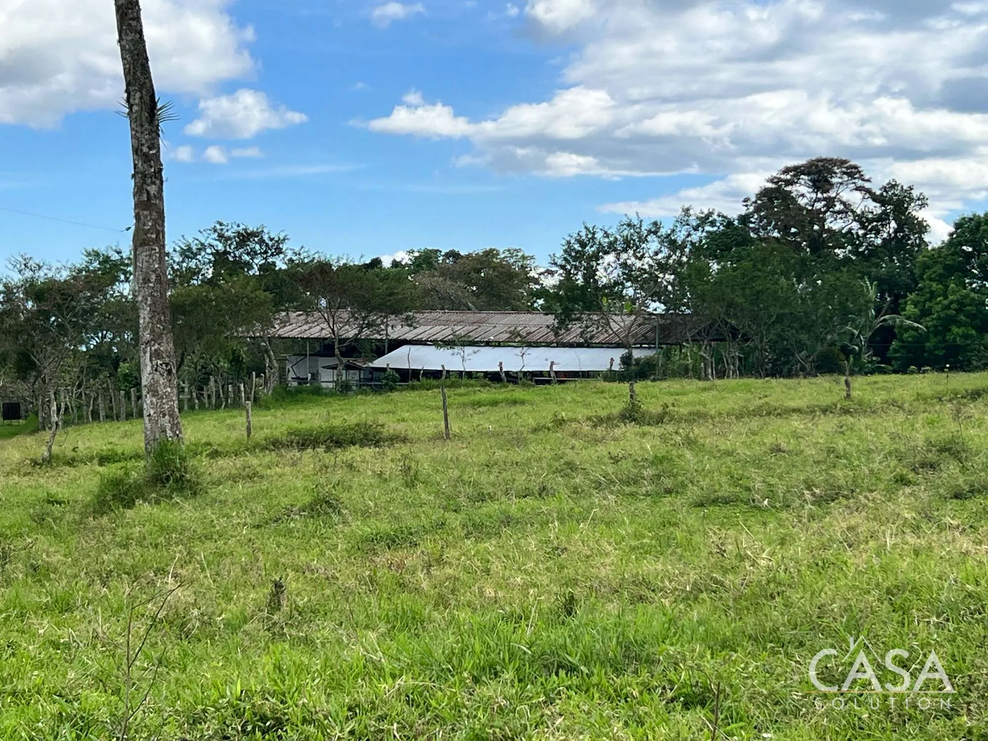 Sold by Casa Solution! 22.25 Hectares of Pasture Land for sale in Potrerillos Arriba: Potential for Agriculture and Development photo 3
