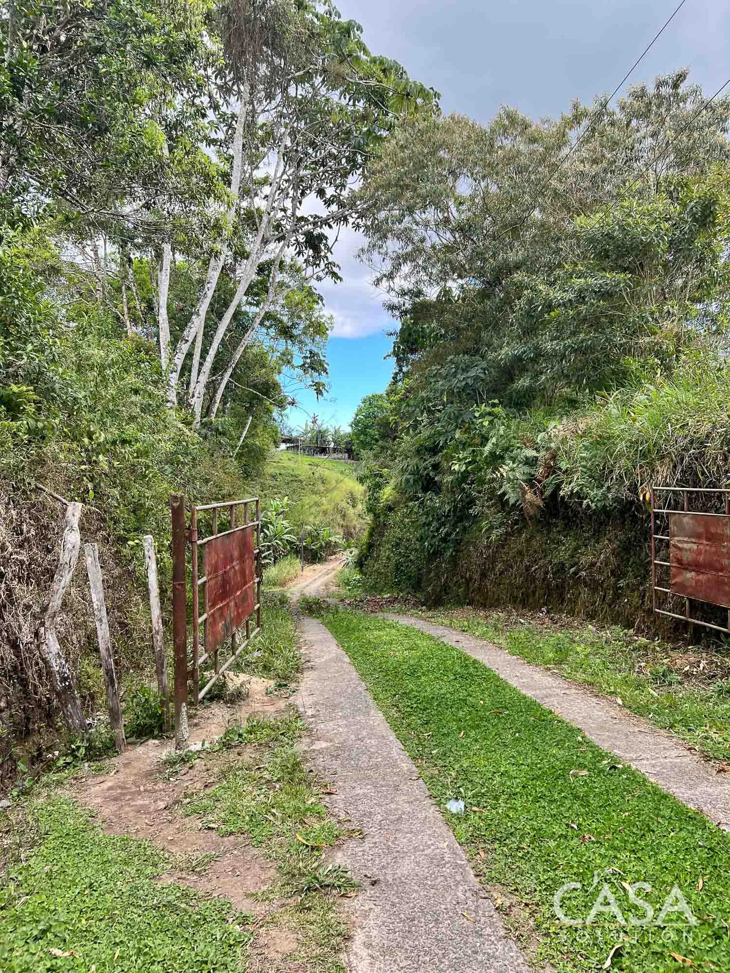Sold by Casa Solution! 22.25 Hectares of Pasture Land for sale in Potrerillos Arriba: Potential for Agriculture and Development